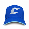 Royal Blue Reflective Trucker